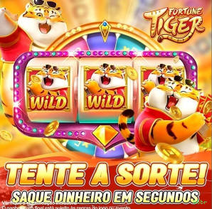 66br Plataforma